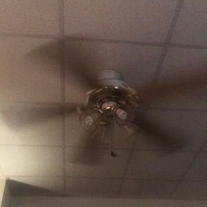 Meet your Posher, Joe